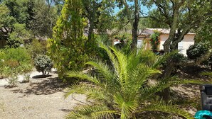 A garden with palm trees and various shrubs, a gravel path, and a building with a tiled roof in the background. - Prestigious South-Facing Villa with Pool – Absolute Calm on the French Riviera (Le Muy)