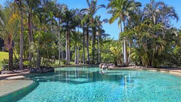 Relax by the serene pool surrounded by lush palm trees and well-maintained gardens.