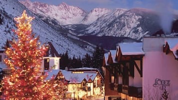 Condo (Vail Sonnenalp 1 Bedroom Residence) | Exterior