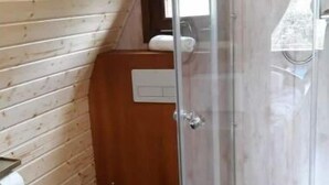 Un área de ducha pequeña y cerrada con puerta de cristal, junto a un inodoro en un baño de estilo cabaña.