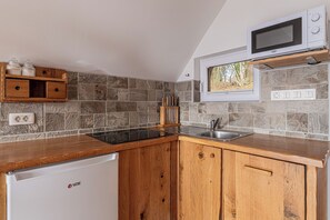 Fridge, oven, stovetop, electric kettle - Vineyard Cottages Rataj (Novo Mesto)
