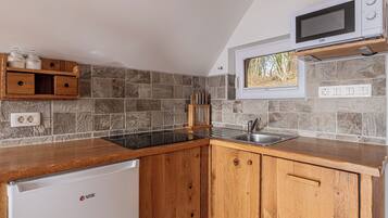 Fridge, oven, stovetop, electric kettle