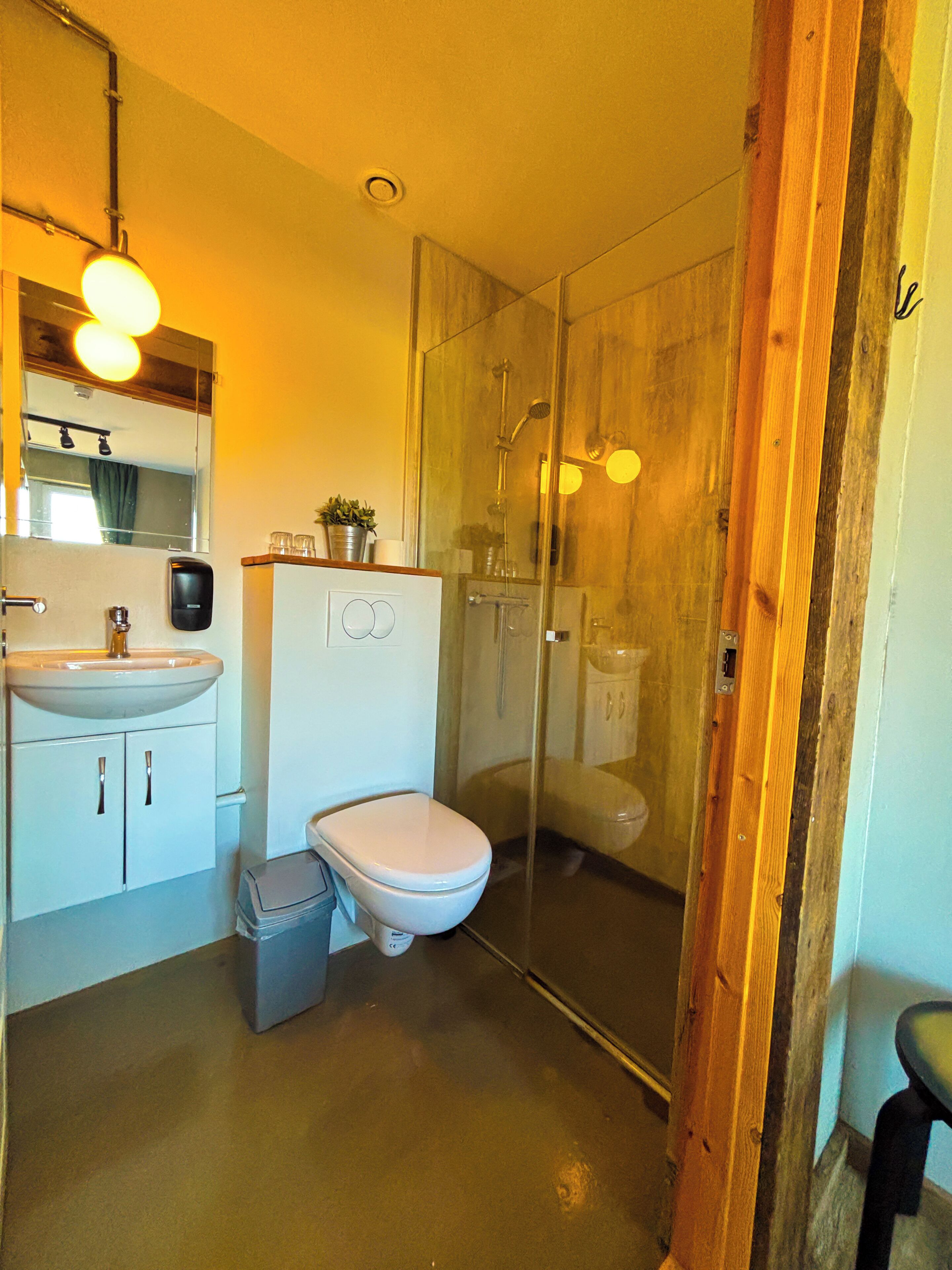 A modern bathroom with a glass shower enclosure, a white toilet, and a sink with a mirror above it.