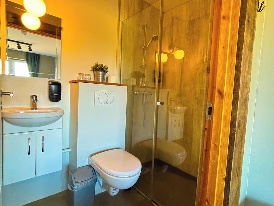A modern bathroom with a glass shower enclosure, a white toilet, and a sink with a mirror above it.