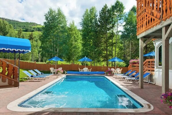 Une piscine rectangulaire bordée de carreaux, entourée de chaises longues et de parasols, avec en arrière-plan des arbres et une clôture en bois.