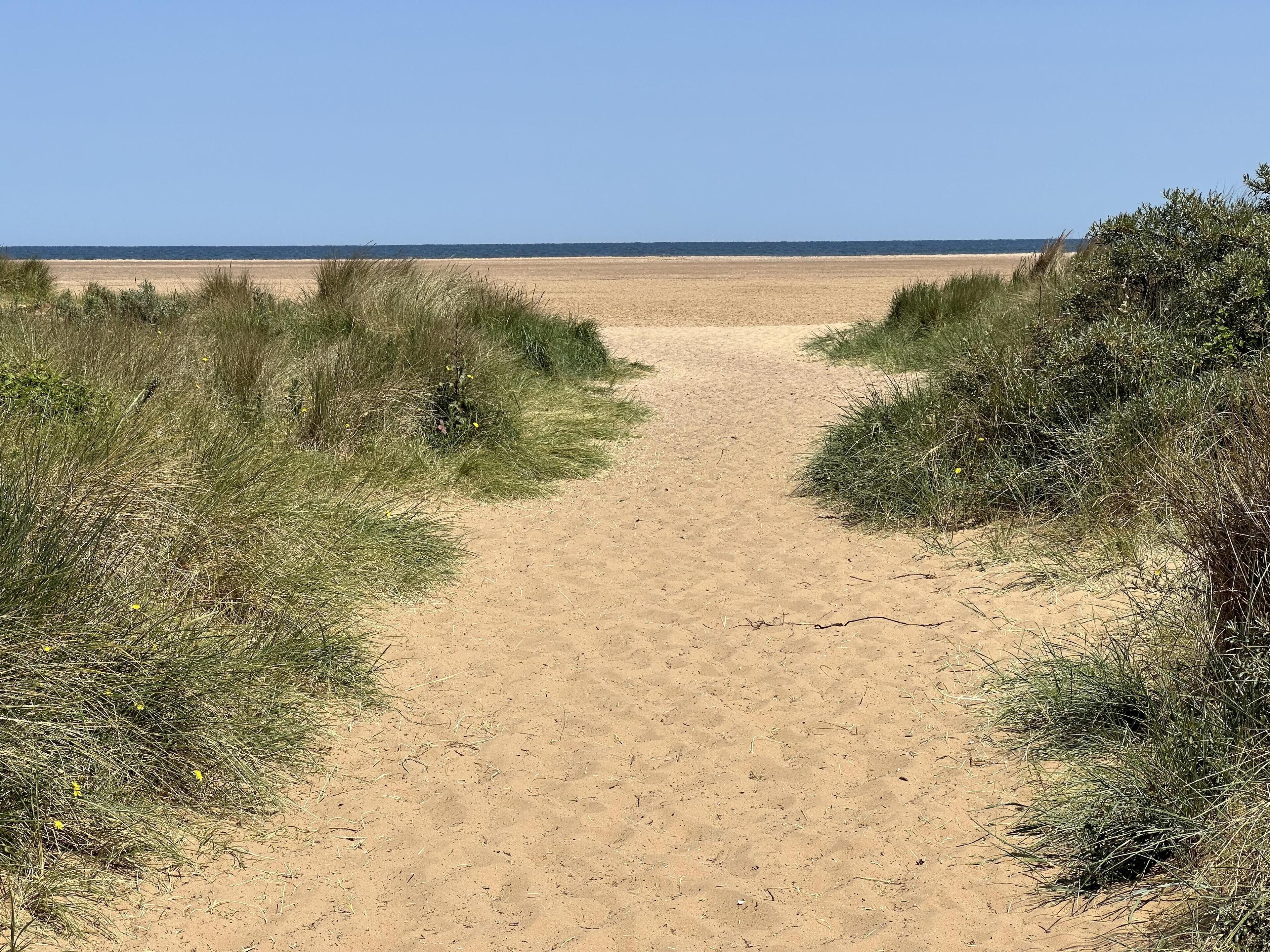 Un sentier sablonneux mène à une plage bordée de part et d’autre d’une végétation clairsemée.