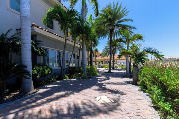 A paved walkway with palm trees, a building with a tiled roof, and a clear sky.