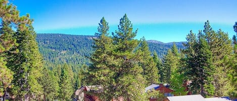 A residential area with houses, a clear blue sky, and a forested mountain in the background.