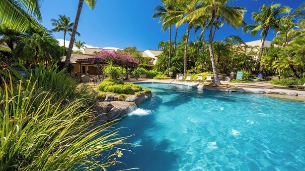 A clear blue pool surrounded by palm trees and lush greenery, with a building in the background.