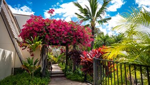 A pathway leading to a building with a covered area adorned with pink flowers and tropical plants.