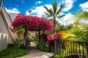 Property grounds - Sweet Maui Kamaole I217 2brm/2bath Executive Vacation Home - (Kihei)