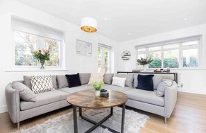 Smart TV, fireplace, books