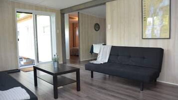 Smart TV, DVD player, books, stereo