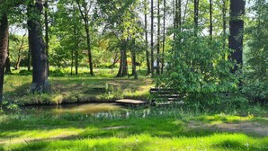 Une scène paisible de forêt avec un petit étang, une jetée en bois et une végétation luxuriante.