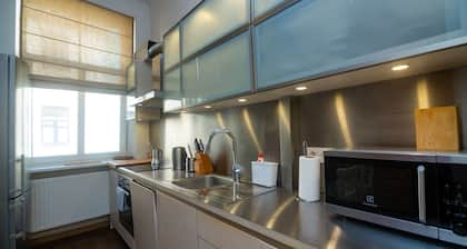 Cozy apartment in the heart of Old Riga