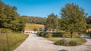 Une allée pavée mène à une maison avec un toit rouge, entourée de verdure et d’arbres.