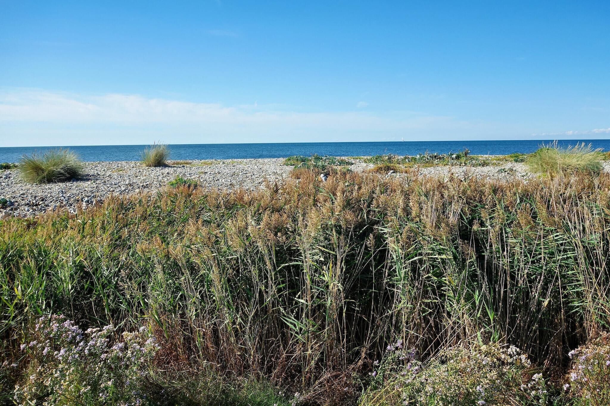 Un paysage côtier avec une plage de galets et une végétation luxuriante au premier plan.