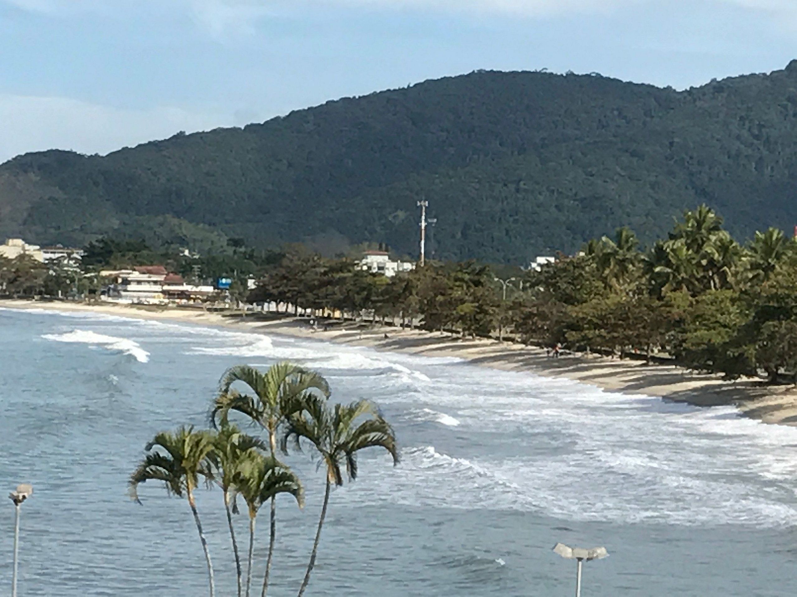 A beach with palm trees and a mountain in the background.