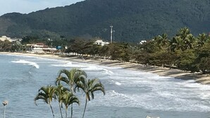 Una playa con palmeras y una montaña al fondo.