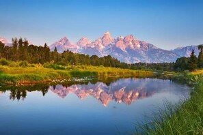 Miscellaneous - The Grandview Las Vegas 1 bedroom unit
 F1 race week. (Las Vegas)