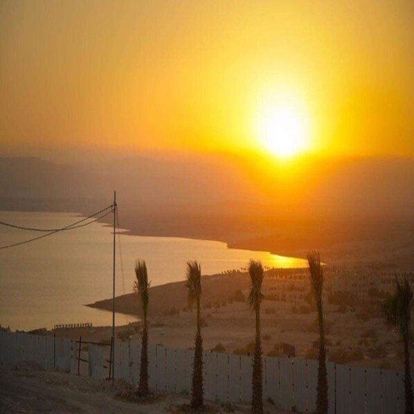 A sunset over a body of water with palm trees and a fence in the foreground. - Lacasa chalet panoramic view to dead sea (Sweimeh)