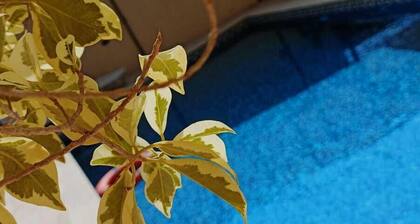 Lacasa chalet panoramic view to dead sea