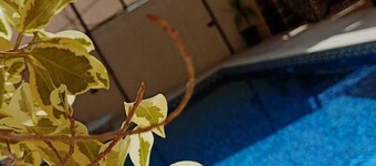 Lacasa chalet panoramic view to dead sea