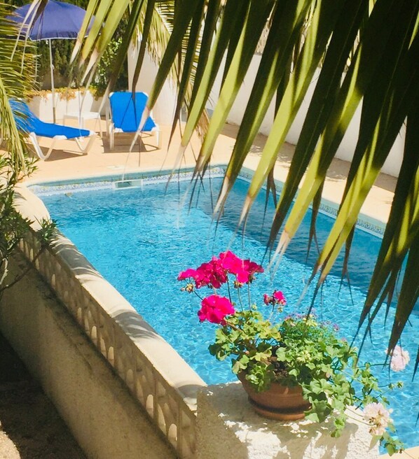 A swimming pool with lounge chairs and a potted plant with pink flowers. - Comfortable | Very quiet area | 2km from Cala Cap Blanc - Punta Estrella (VC)