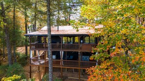 Exterior - ❄️ Rustic Winter Escape: 2 King Suites, Hot Tub, Mountain Views, Pet-Friendly (Ellijay)