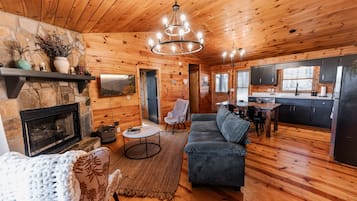 Smart TV, fireplace, books