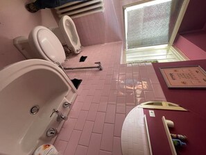 Haartrockner, Bidet