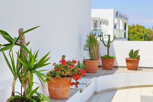 Property grounds - Kalimera apartment 6 ,Near beach and all amenities (Adelianos Kampos)