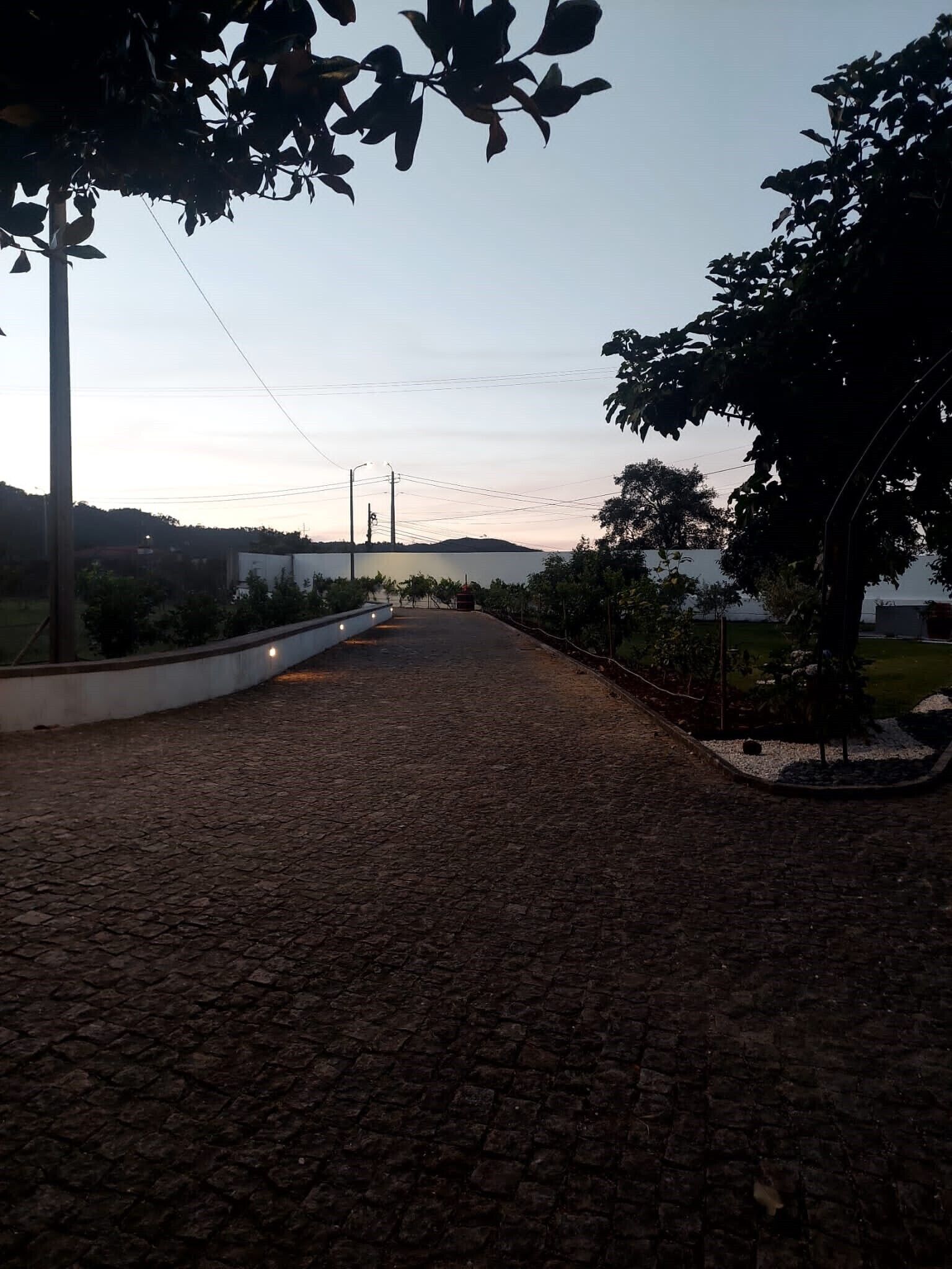 Un camino adoquinado que conduce a una masa de agua, bordeado por árboles y un muro blanco.