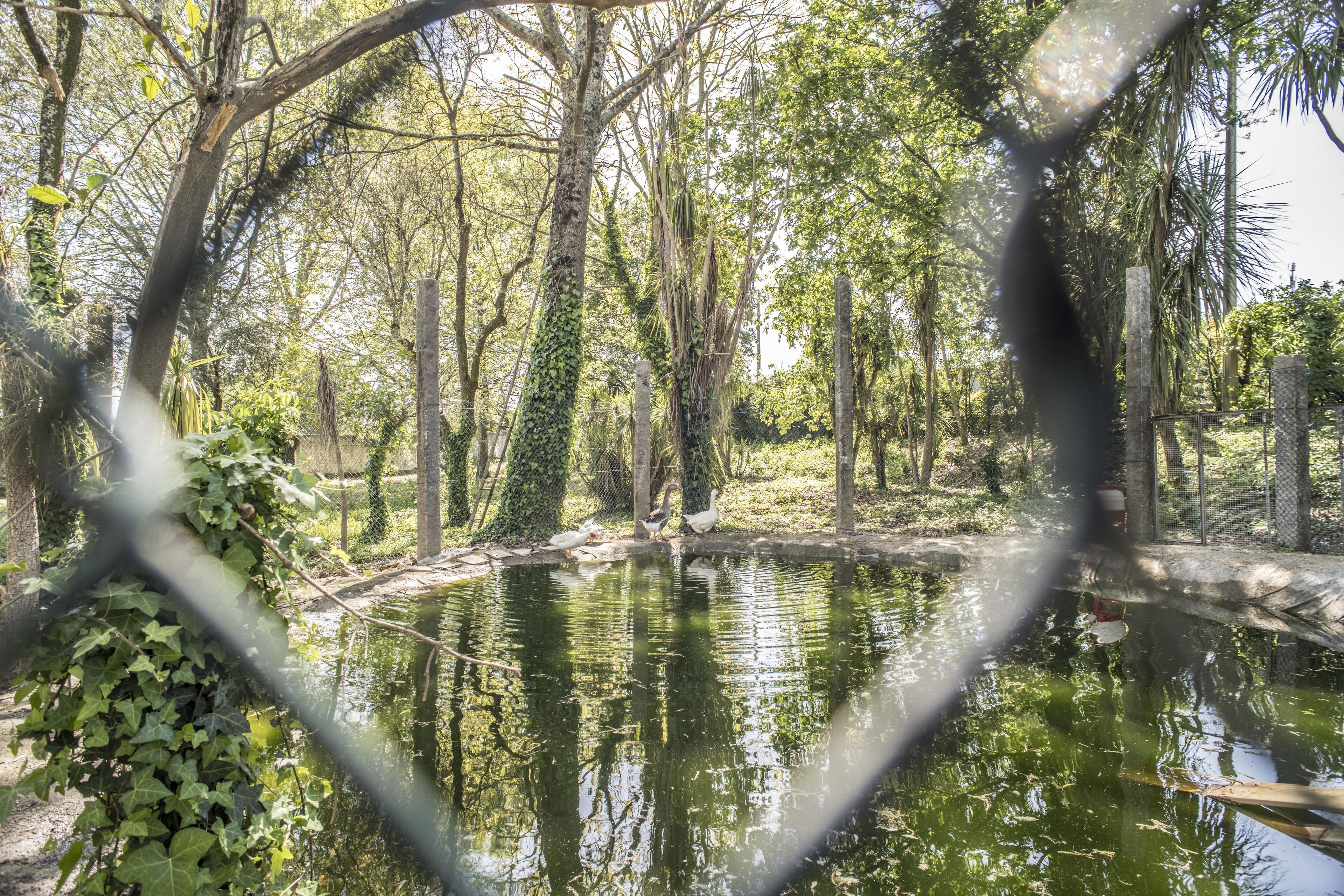 المنطقة المحيطة بالمنشأة