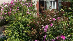 Een twee verdiepingen tellend huis met een bakstenen schoorsteen, groene luiken en een tuin met roze bloemen.