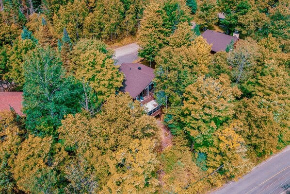 A residential area with multiple houses surrounded by dense forest.