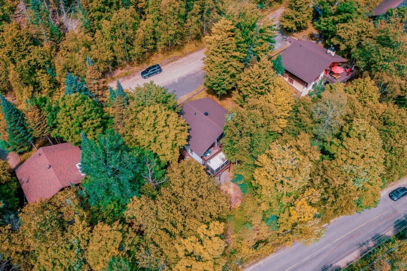 Un barrio residencial con varias casas rodeadas de árboles frondosos.