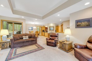 TV, fireplace, books, streaming services