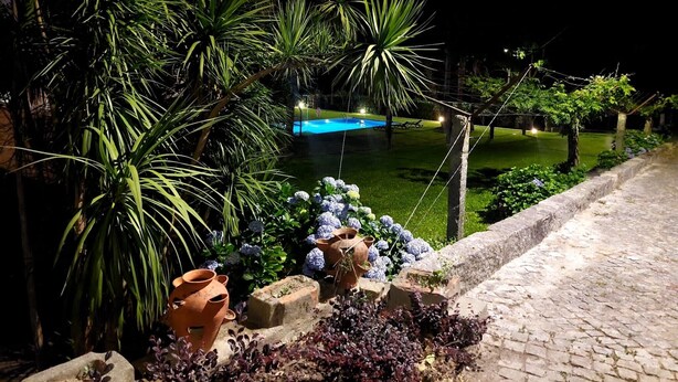 Jardín nocturno con piscina, rodeado de plantas y macetas decorativas.