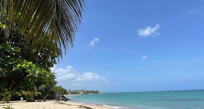 Tropical Resort , 5 Pools & Direct Beach Access