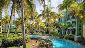 A resort with a swimming pool surrounded by palm trees and greenery, with buildings in the background.