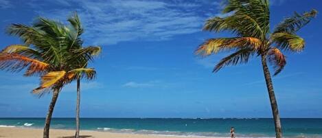 Sun loungers, beach towels