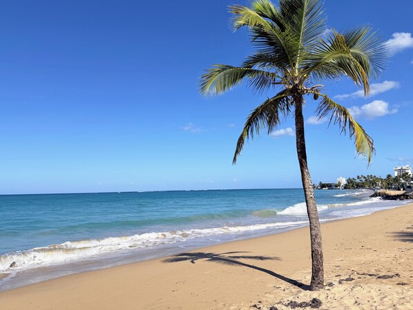 Camastros y toallas de playa 