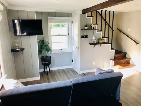 Älytelevisio, kirjoja