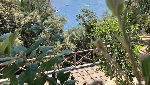 A coastal view with a wooden bridge, lush greenery, and a clear blue sky.