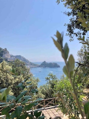 Vista costeira com uma ponte de madeira, vegetação exuberante e céu azul límpido.