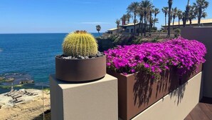 Un balcon orné d’un cactus et de fleurs roses, d’où l’on peut admirer l’océan et les palmiers.