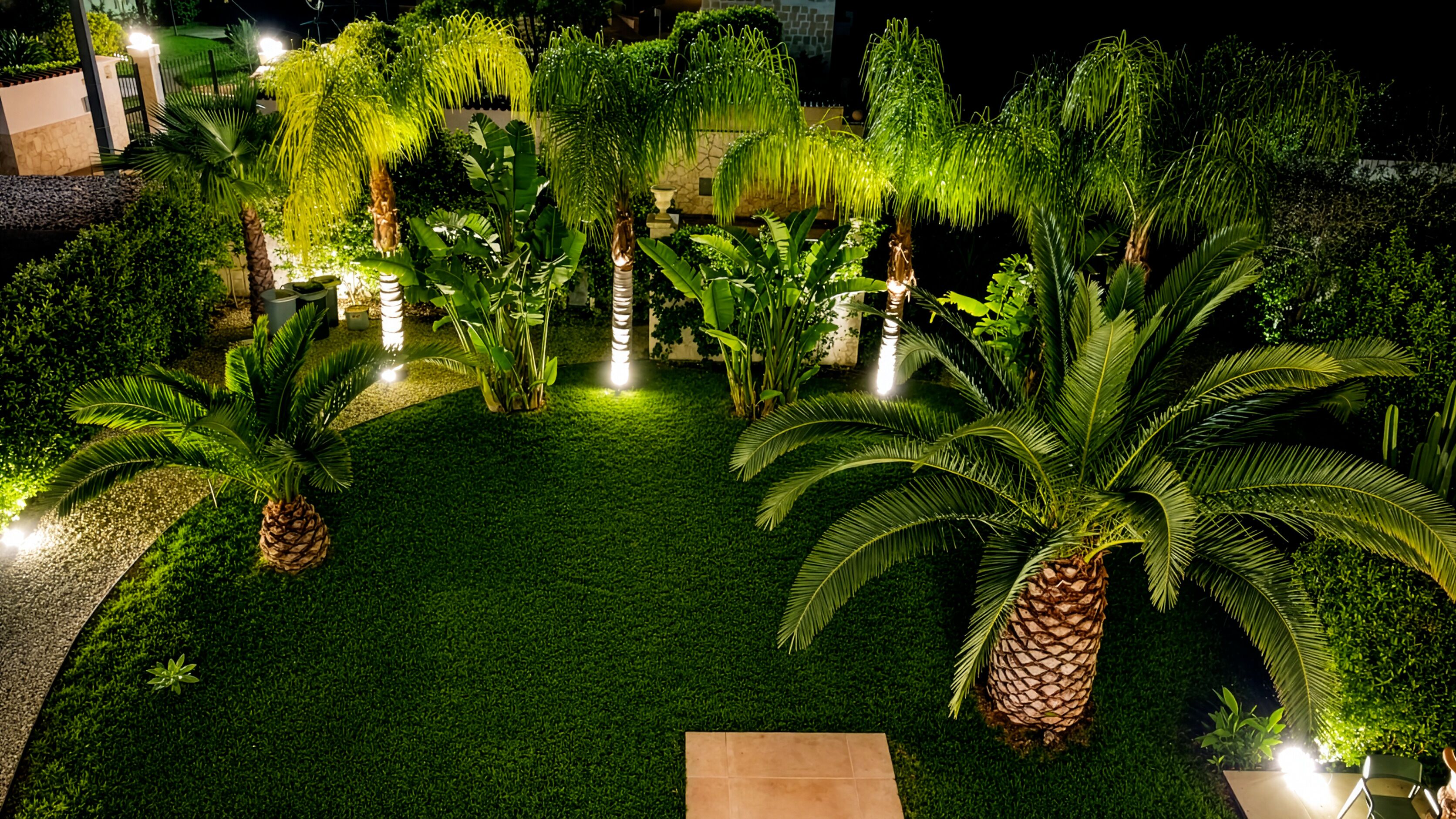 A well-lit garden with various tropical plants and a paved walkway.