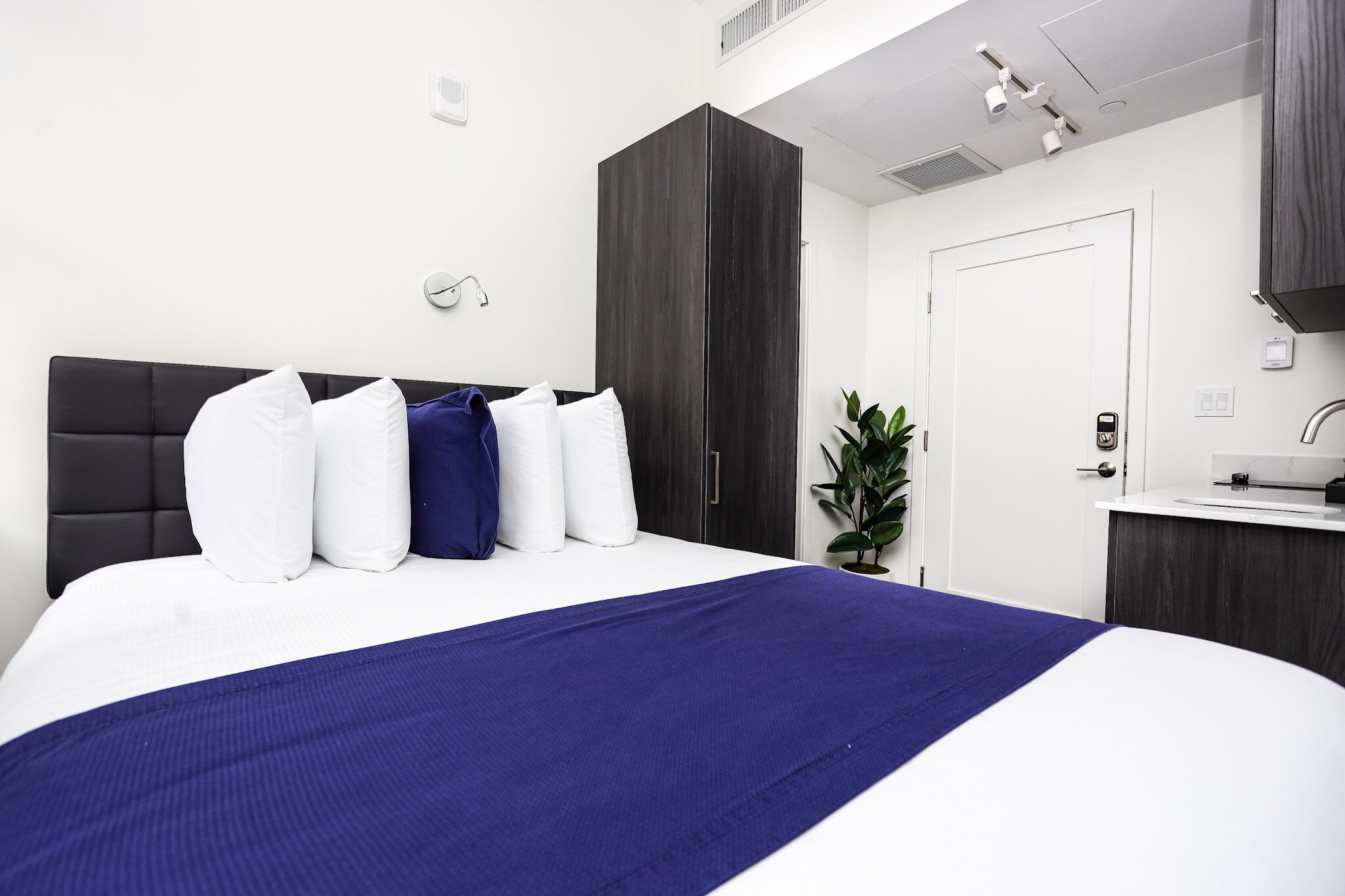 A modern hotel room with a large bed, dark wooden wardrobe, a small desk with a sink, and a potted plant.