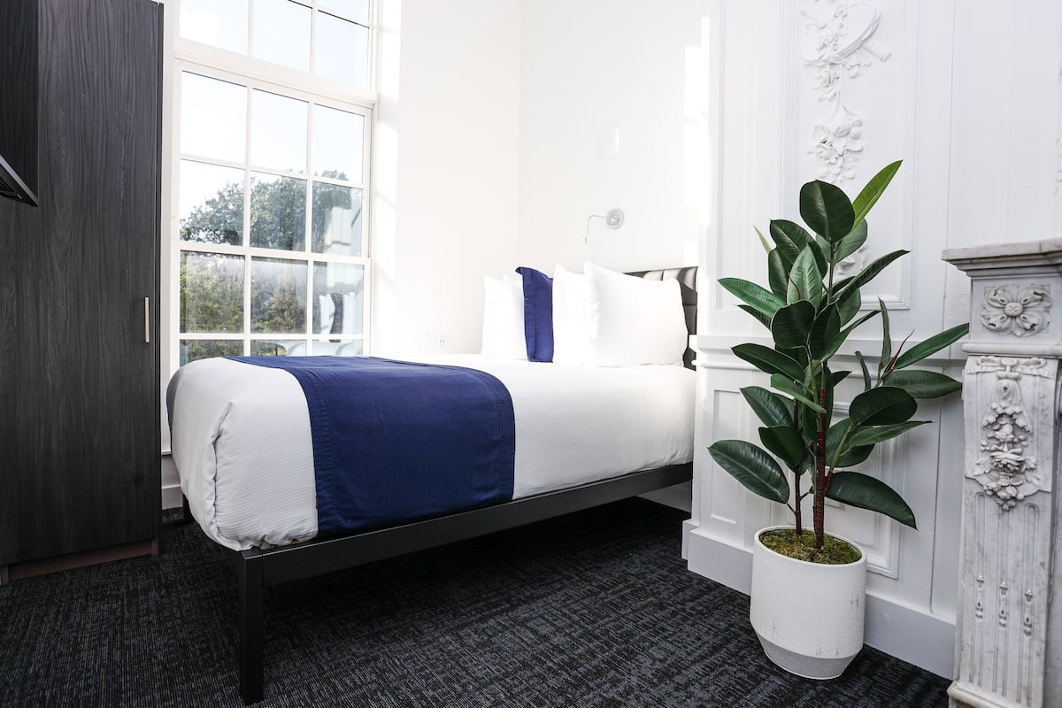 A hotel room with a bed, a large window, a potted plant, and a white wall with a decorative panel.